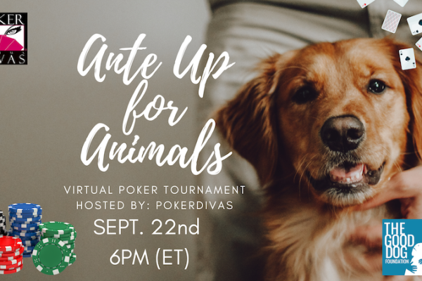 PokerDivas Ante up for the Animals Virtual Charity Poker